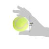 Dog Tennis Balls 20 Pack Pet Tennis Balls for Small Dogs Non-Toxic Non-Abrasive Material