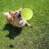 Dog Tennis Balls 20 Pack Pet Tennis Balls for Small Dogs Non-Toxic Non-Abrasive Material