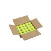 Dog Tennis Balls 20 Pack Pet Tennis Balls for Small Dogs Non-Toxic Non-Abrasive Material
