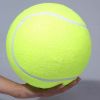 9.5 inch big tennis ball for large breed dogs