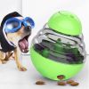 Food Dispenser Interactive Puppy Slow Feed Tumbler Ball