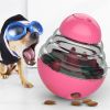Food Dispenser Interactive Puppy Slow Feed Tumbler Ball