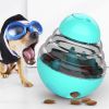 Food Dispenser Interactive Puppy Slow Feed Tumbler Ball