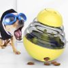 Food Dispenser Interactive Puppy Slow Feed Tumbler Ball