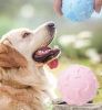 bite-resistant ball with bone design