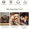 Cute Soft Durable Stuffed Animal Plush Dog Chew Toy with Squeaker, for Small Medium Dogs