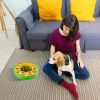 Puzzle Feeder Slow Feeding Bowl