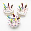 fun birthday plush squeakers