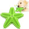 starfish dog vocal toy