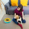 Puzzle Feeder Slow Feeding Bowl