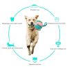 multifunctional dog toy Foldable Ball Outdoor Training Ball
